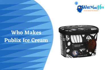 who makes publix ice cream